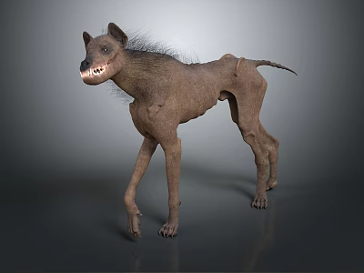 Slender Hyena With Sparse Fur And Prominent Teeth Standing On Gray Background 3d model