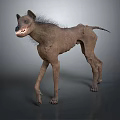 Slender Hyena With Sparse Fur And Prominent Teeth Standing On Gray Background