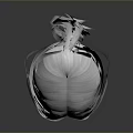 Detailed 3D Anatomical Brain Organ Structure With Flowing Silky Hair Design