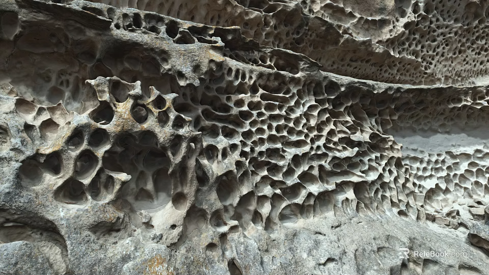 Natural Honeycomb Rock Formation With Unique Hole Patterns And Detailed Textures 3d model 