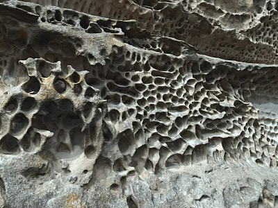 Natural Honeycomb Rock Formation With Unique Hole Patterns And Detailed Textures 3d model