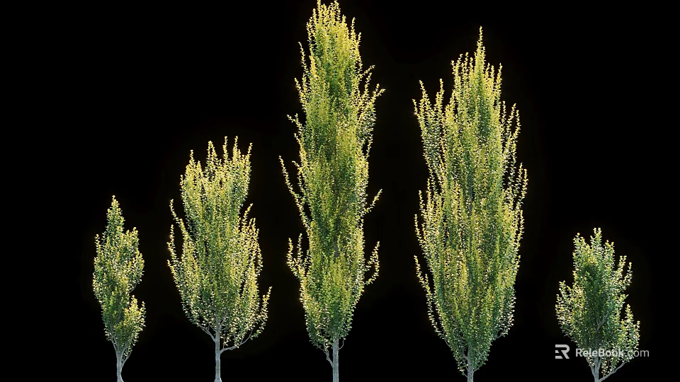 Multiple Arbor Trees With Different Heights And Lush Green Foliage Growth Forms 3d model 