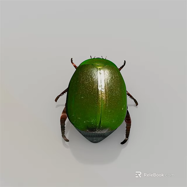 Shiny Metallic Green Beetle With Oval Body And Red Legs On White Background 3d model 