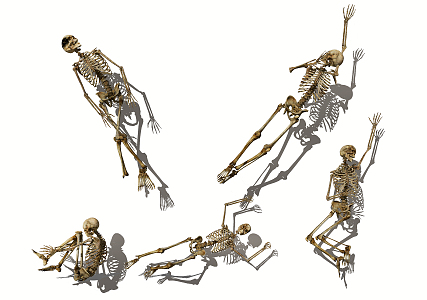 Modern Skeleton Human Skeleton Human Skeleton 3d model