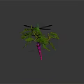 Two Green And Purple Dragonflies Resting On Branches With Green Leaves