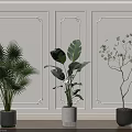 Stylish Indoor Potted Plants With White Decorative Walls Wooden Floor And Various Foliage Types