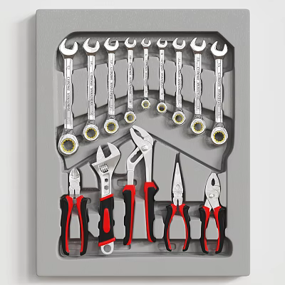Hardware Tools Set with Wrenches Pliers Various Sizes Silver Red Black Handles 3d model