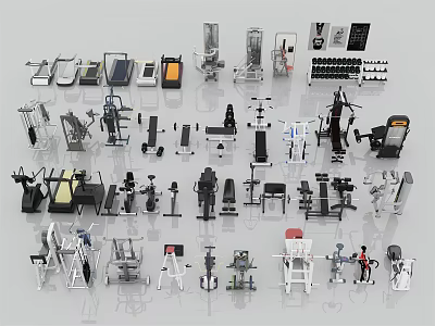 Diverse Sports Equipment Collection With Treadmills Dumbbells Weight Benches And Fitness Machines 3d model