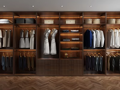 Elegant Wooden Wardrobe Interior With Hanging Clothes Multiple Shelves And Storage Drawers 3d model