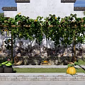 Rural Landscape With Traditional Building Vine Pergola Green Plants And Pumpkin Decoration