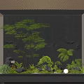 Natural Indoor Landscape With Gray Wall Small Tree Ferns Stones And Lush Moss