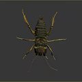 grasshopper insect cartoon locust animation locust anime locust anime game character 3d model