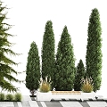 modern horticultural sketch shrub landscape design urban environment 3d model