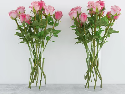 Two Bouquets of Pink Roses in Clear Glass Vases with Green Leaves on Gray Surface 3d model