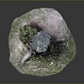 Wooden Stump And Stone Decor In Natural Setting With Green Moss Grass