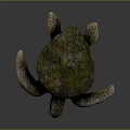 Modern Turtle Small Turtle Green Turtle Big Turtle Black Turtle 3d model