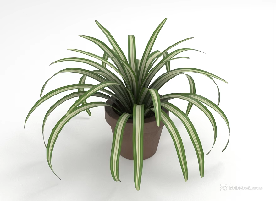 Decorative Indoor Green Plant With Long Striped Leaves In Brown Pot 3d model 