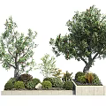 Modern Tree Pool Landscape Tree Pool 3d model