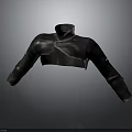 Black Leather Cropped Jacket With High Neck Stylish Long Sleeves Design