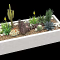 Mixed Succulent Plants In White Rectangular Planter With Cactus Small Stones And Yellow Flowers