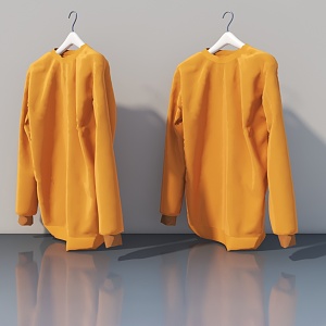 Clothing collocation 3d model