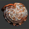 Shell Shaped Decorative Ornament Set With Orange White Striped Textured Design For Home Decor