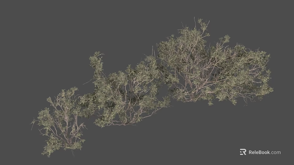 Lush Green Foliage On Shrubbery Branches With Natural Curved Arrangement Form 3d model 