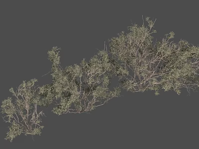 Lush Green Foliage On Shrubbery Branches With Natural Curved Arrangement Form 3d model