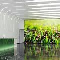 Modern Public Office Space With White Walls Curved Lines Green Plants Reception Desk And Sofas