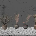 Four Ceramic Vases With Dried Flowers On White Pebbles Against Gray Wall For Home Decor