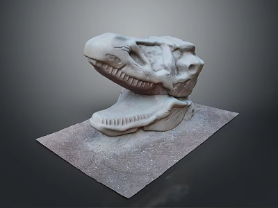 Dinosaur Jurassic Pterosaur Long-necked Tyrannosaurus Tyrannosaurus Stegosaurus Bretosaurus Triceratops Shark Toothosaurus Ancient Animals 3d model