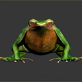 Frog Poison Frog Game Frog Reptile Cold Blooded Animal Reptile 3d model