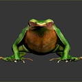 Frog Frog Frog Poison Frog Game Frog Reptile Cold Blooded Animal Reptile Reptile 3d model