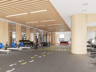 Modern Sports Fitness Gym Interior With Various Equipment Wooden Pillars And Floor Footprints 3d model