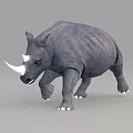 Realistic Gray Rhino With White Horn And Natural Walking Pose Details