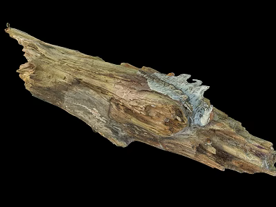 Natural Stone Wood Decorative Piece With Rustic Texture And Unique Design 3d model