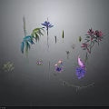 Various Colorful Plants With Blue Purple Pink Flowers And Green Leaves Against Dark Background