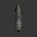 3D Wolf Model Standing Pose With Realistic Fur Texture On Dark Background 3d model