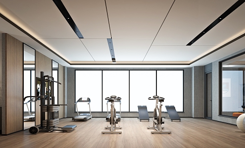 Hotel Gym Public Space Fitness Club Hotel Laundry 3d model