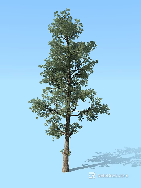 Tall Green Tree With Lush Foliage Trunk And Clear Blue Sky 3d model 