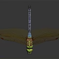 Green Dragonfly With Red Transparent Wings Perched On Shiny Black Surface