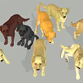 Low Poly Style Dogs in Various Colors and Different Poses on Gray Background 3d model