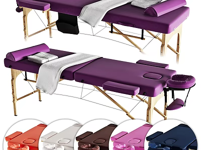 Professional Massage Table with Small Tray and Multiple Colors for Spa and Home Use 3d model