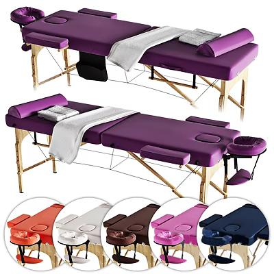 Professional Massage Table with Small Tray and Multiple Colors for Spa and Home Use 3d model