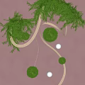 Indoor Landscape Design with Hanging Green Plants Curved White Lines and Spherical Decorations