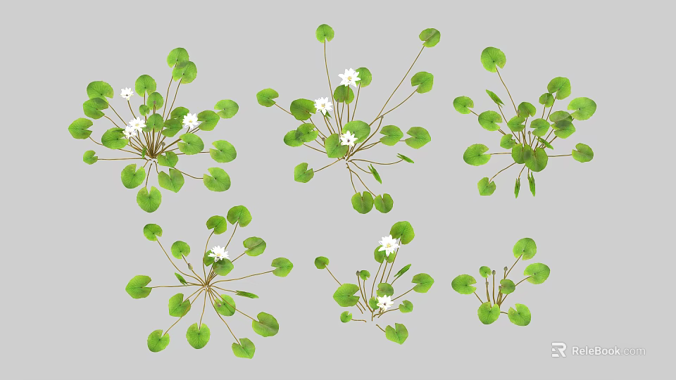 Beautiful Vase With Green Leaves And White Small Flowers For Home Decor 3d model 