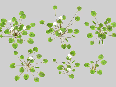 Beautiful Vase With Green Leaves And White Small Flowers For Home Decor 3d model