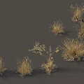 Golden Grass Displaying Various Shapes Different Heights And Spike Structures On Gray Background 3d model