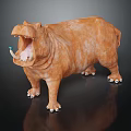 Orange Hippopotamus Model With Open Mouth And Tusks On Black Background With Reflection