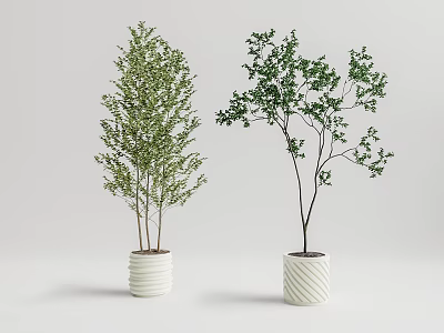 Modern potted plant potted landscape tree 3d model